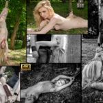 Account Free For Subspaceland