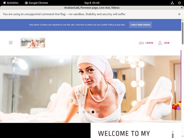 ArabianCalli Premium Logins