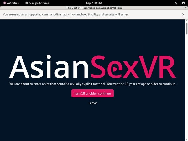 Asian VR Sex Segpay Discount