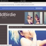 BaddBirdie Parola D’ordine Gratuito