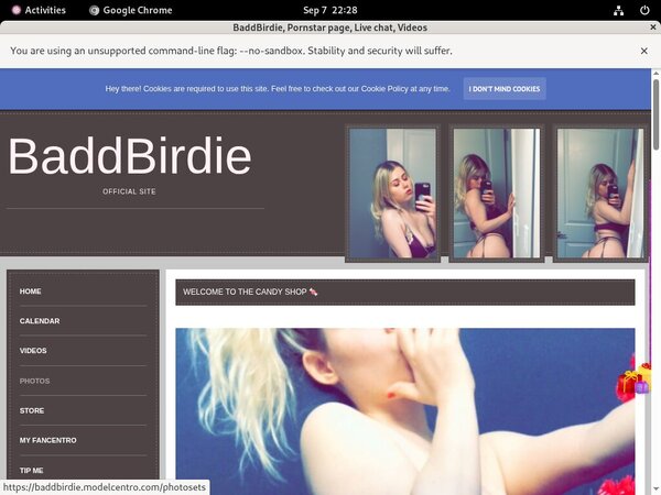 Baddbirdie.modelcentro.com Premium Login