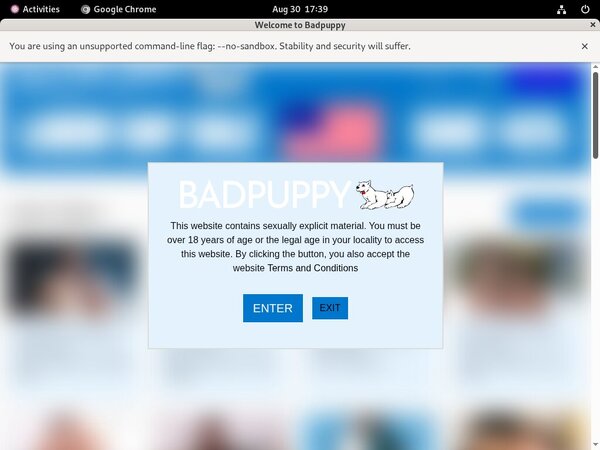 Badpuppy.com Pass Login