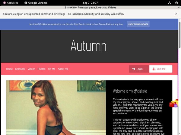 Bittykitty.modelcentro.com Gallaries