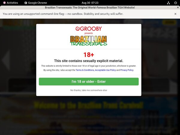 Brazilian-transsexuals.com Web Site