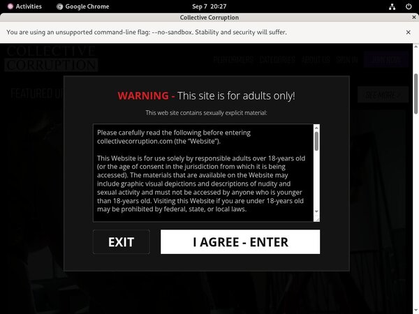 Collective Corruption Password Share