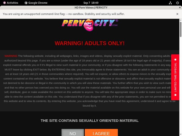 Discount Pervcity.com Promotion