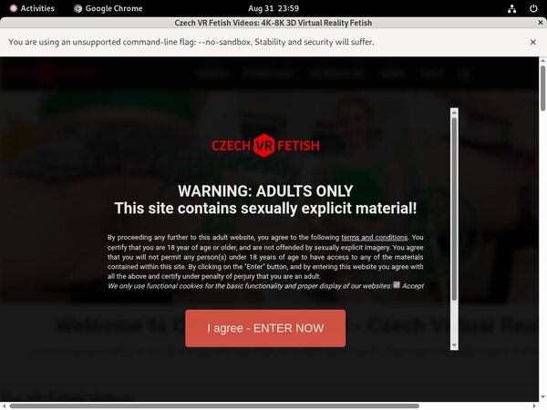Free Accounts Czechvrfetish.com