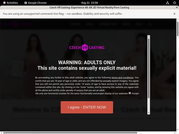 Free Czech VR Casting Account Passwords