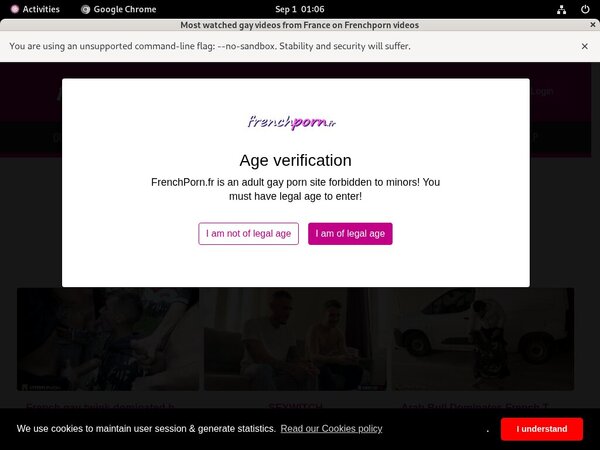 Free Frenchporn Trailers