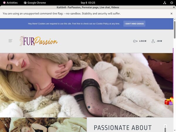 Furpassion.net Paypal Checkout