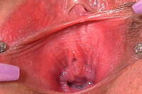 Gapemypussy.com Account Membership s0