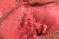 Gapemypussy.com Full Hd s0