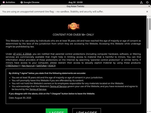 Gay Asian Twinkz Site Rip New