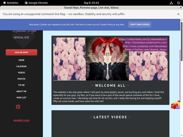 Kawaiiskye.modelcentro.com Discount Site