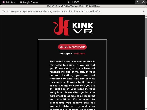 Kink VR Free Pics