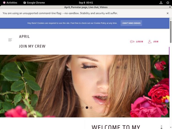 Ladyapril.modelcentro.com Discount Accounts