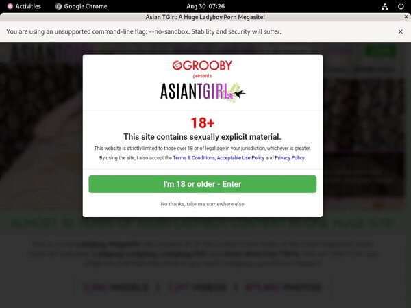 Ladyboy Ladyboy Bypass