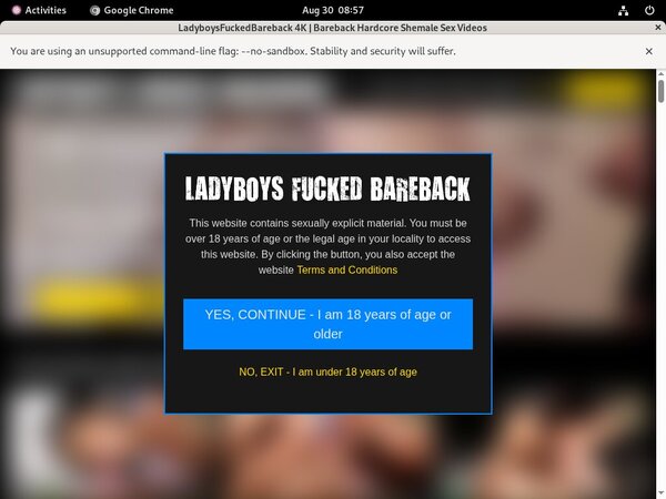 Ladyboysfuckedbareback.com Trial Login