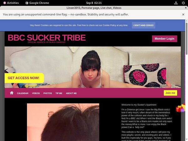 Linxer2013 Site-rip