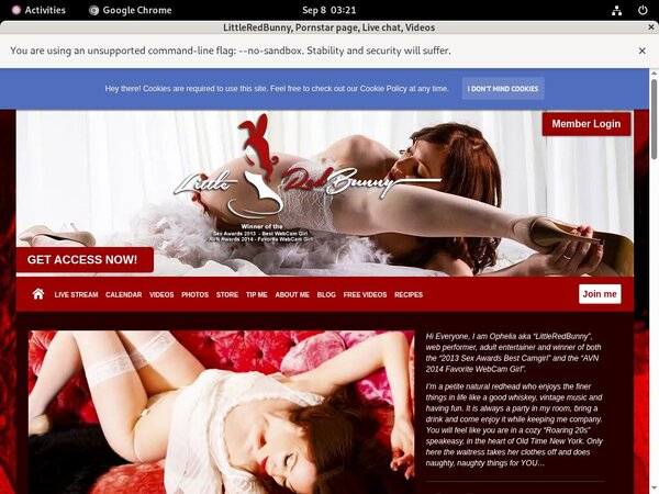 LittleRedBunny Page LittleRedBunny Page