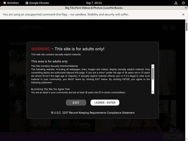 Love Her Boobs Toilet