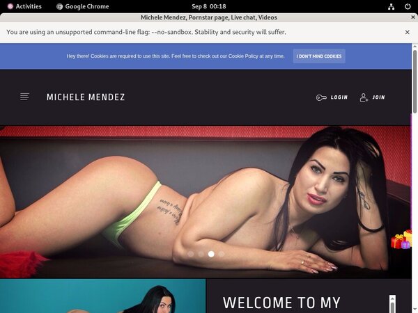 Michele Mendez Ccbill Pay