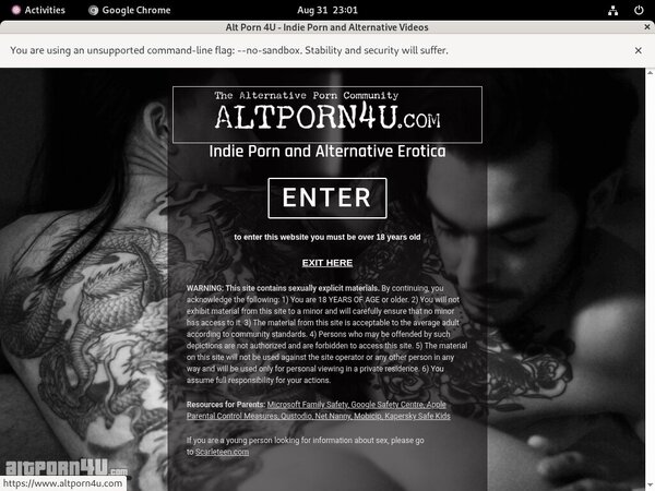 New Alt Porn 4 U Password