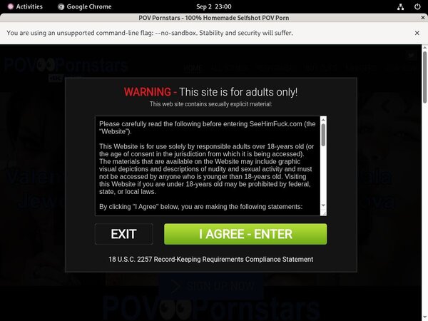 POV Pornstars Web Site