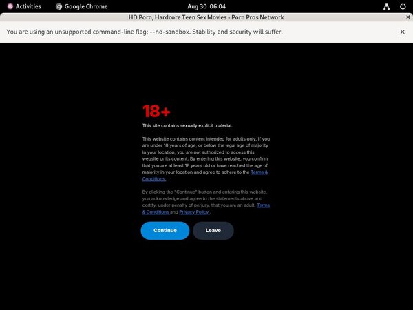 Porn Pros Network Passes