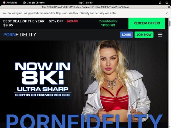 Pornfidelity Updates