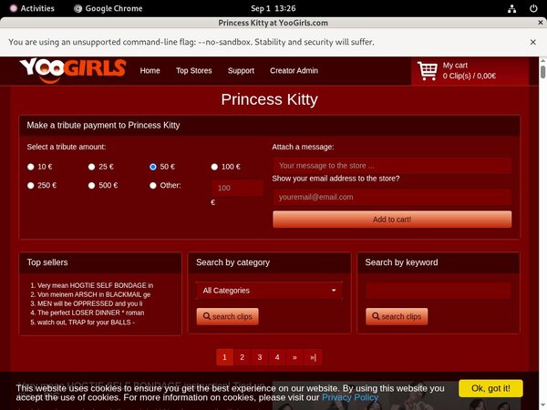 Princess Kitty With WTS (achdebit.com)