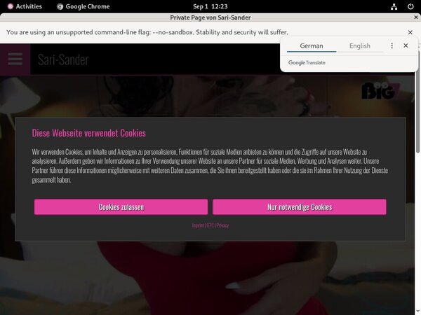 Sari Sander Discount Vendo