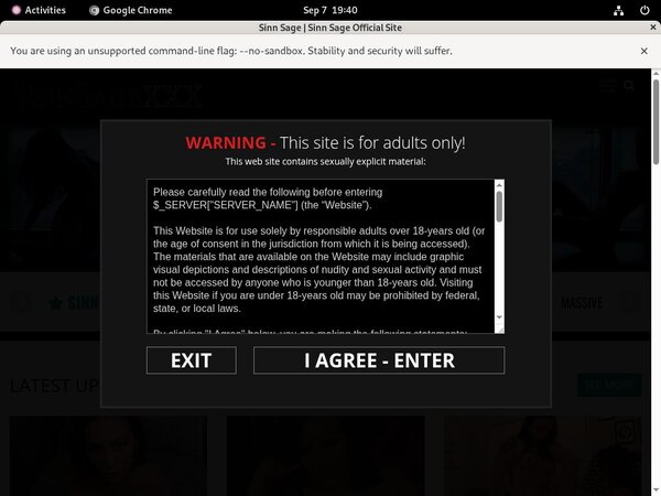 Sinnsagexxx Site Review