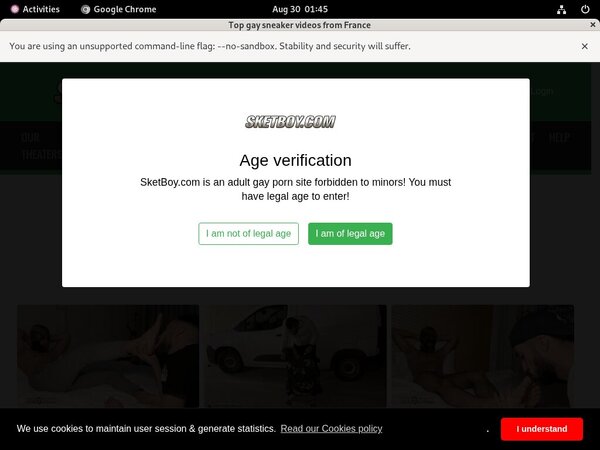 Sketboy Checkout Page