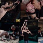 Subspace Land Membership Discounts