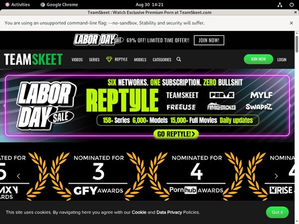 Teamskeet.com Paysite Review Teamskeet.com Paysite Review