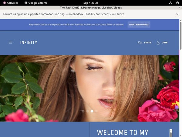 Therealdeal213.modelcentro.com Login Passwords