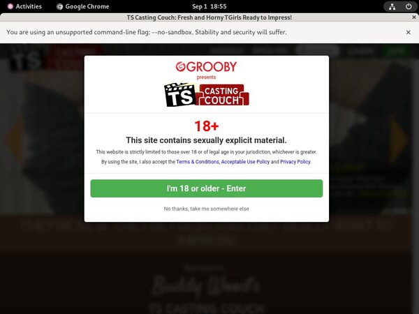 Ts-castingcouch.com Discount Password