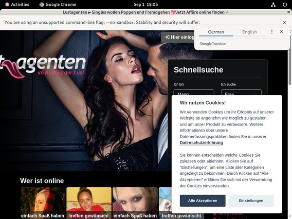 Username And Password For Lust Agenten