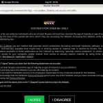 Workinmenxxx With Bitcoin