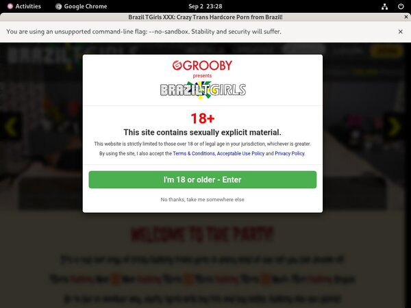 XXX TGirls Brazil Premium