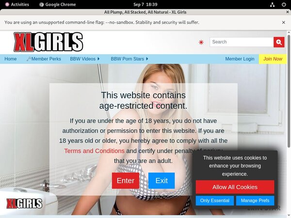 Xlgirls BillingCascade.cgi