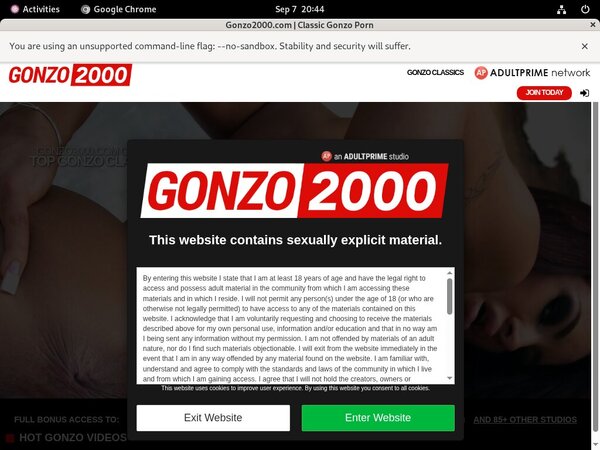 Freies Gonzo2000.com