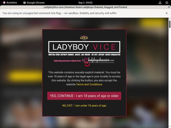 Ladyboy Vice With Sliiing