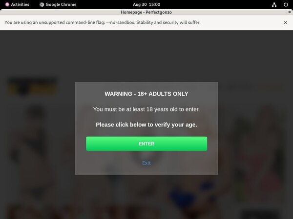 Perfectgonzo Password Account