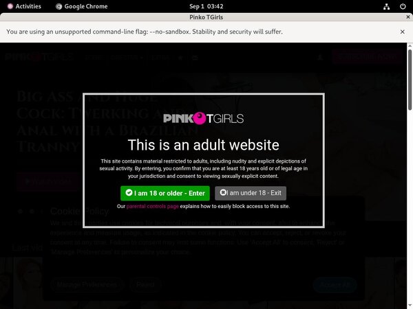 Pinkotgirls Working Pass